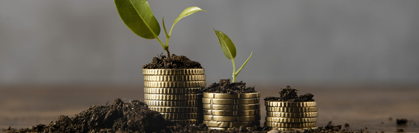 analise investimentos